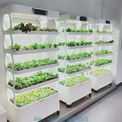 Sistema de cultivo automatizad - Home Automation Systems Diy avaliação e preço