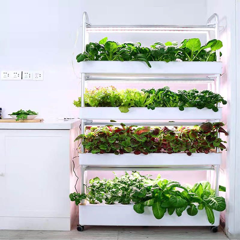 Sistema de plantio ydroponic S - Home Automation Systems Diy avaliação e preço